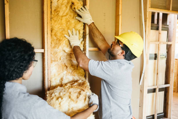 Professional Insulation Contractor in Deerwood, TX